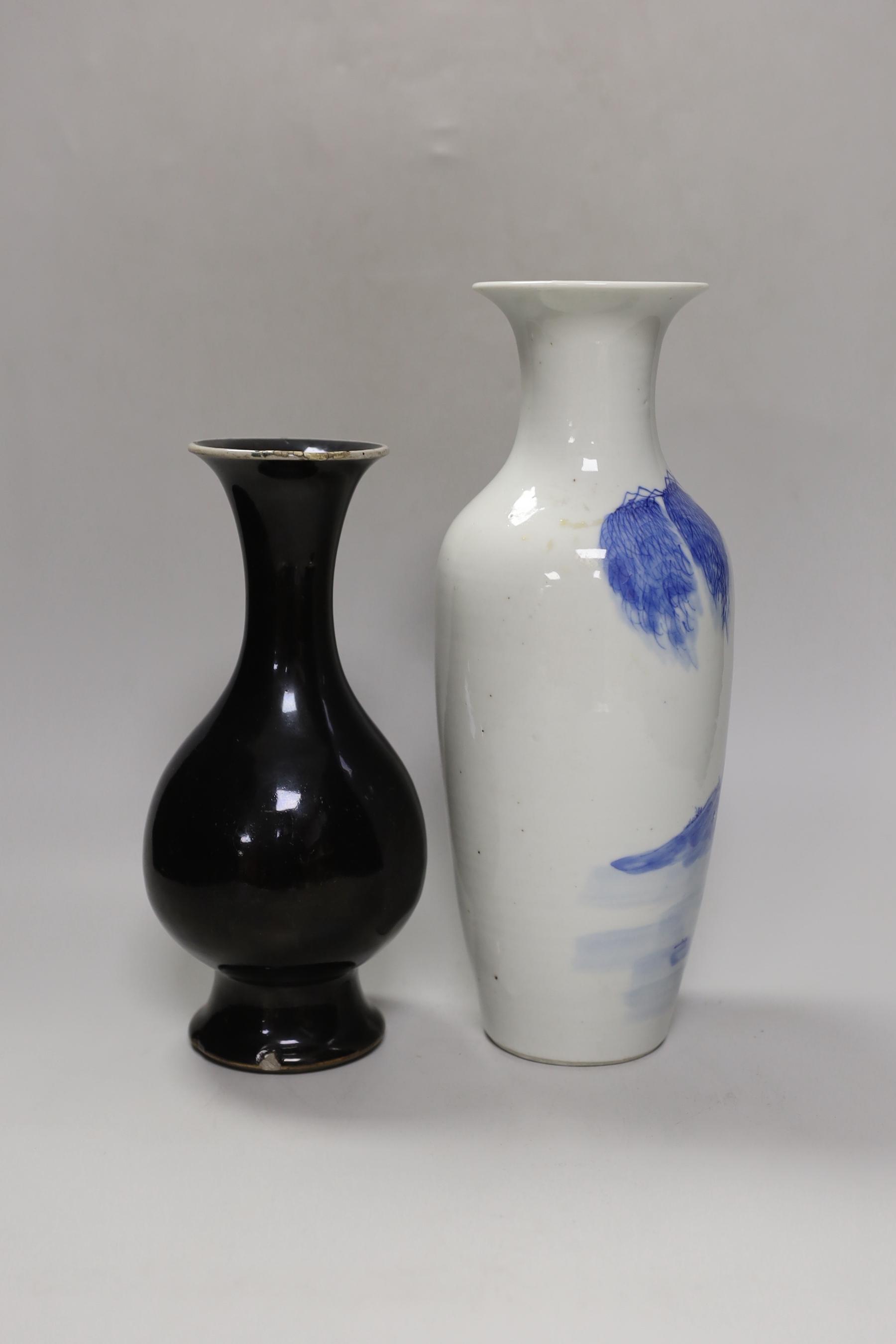 A Chinese mirror-black glazed vase, 18th century and a 19th century Chinese blue and white 'horses' vase, tallest 30cm